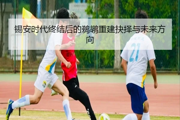 锡安时代终结后的鹈鹕重建抉择与未来方向